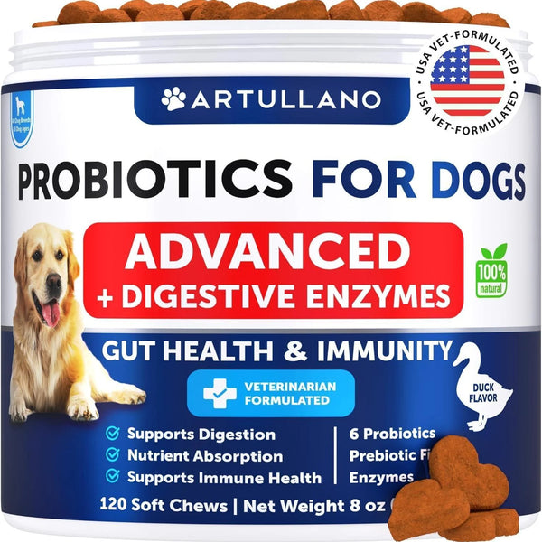 Ultimate Probiotics for Dogs - Boost Gut Health, Relieve Itchy Skin & Allergies, Strengthen Immunity & Combat Yeast