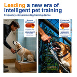  Dog Training Tool Dog Bark Deterrent Device with LED Flashlight