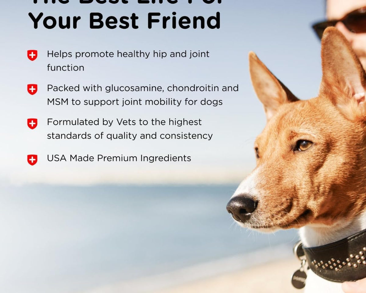 Advanced Strength Hip & Joint Chewable Dog Supplements