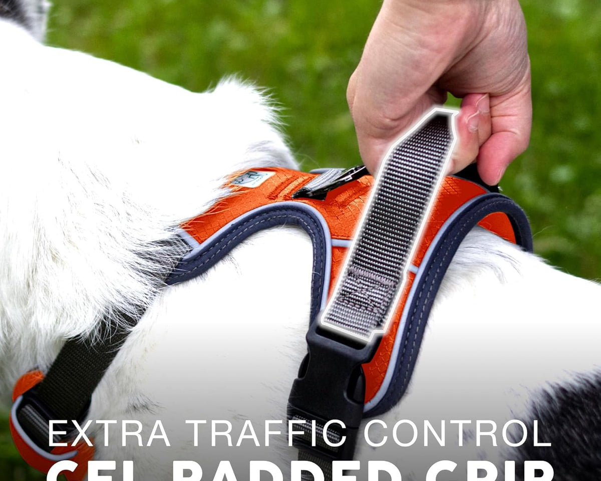 Embark Adventure Reflective No-Pull Dog Harness for Small Breeds - Durable Military-Grade Nylon with Front Clip and Gel-Enhanced Handle