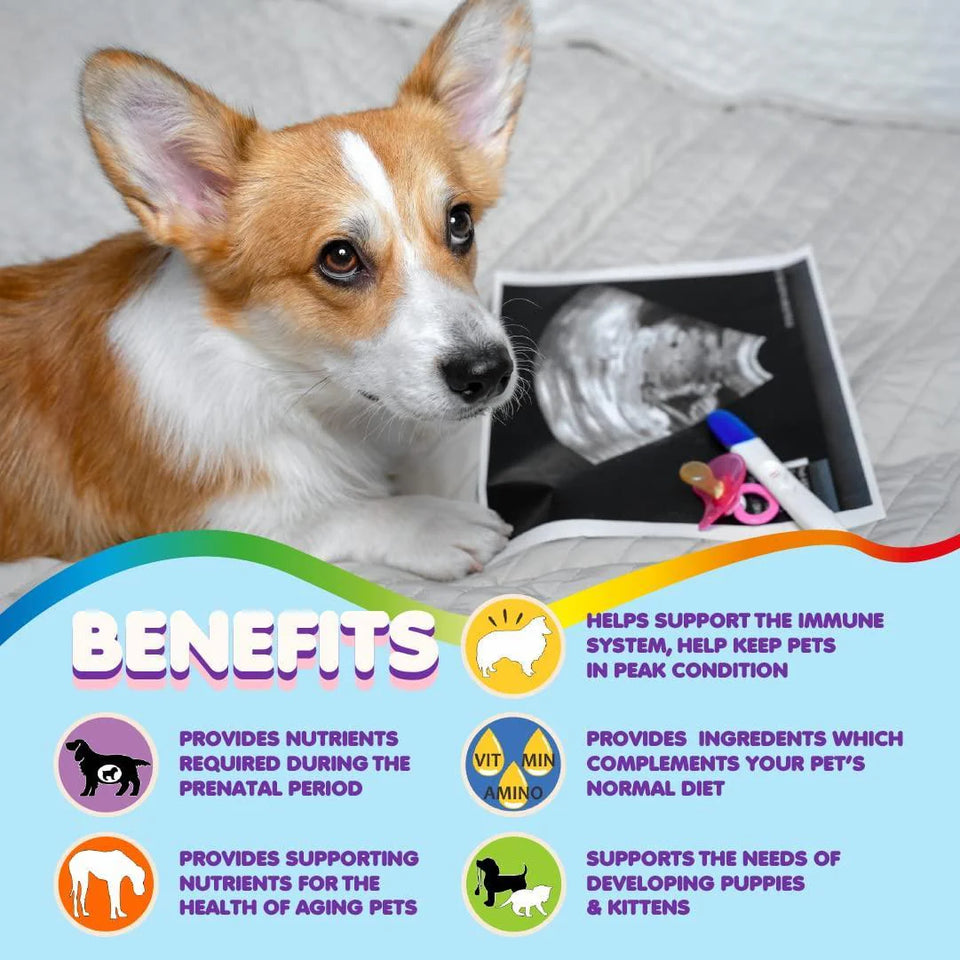 Premium Prenatal Multivitamins for Dogs and Cats - Enriched with Folic Acid and Essential Minerals