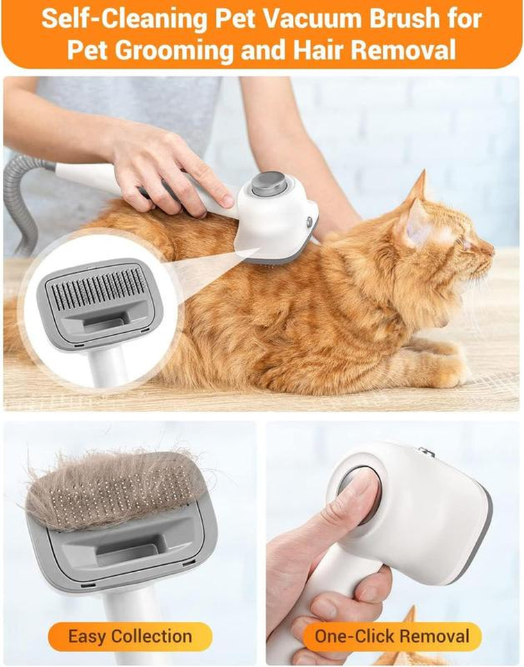 SIMPLEWAY: PET GROOMING VACUUM