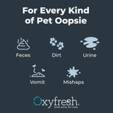 Advanced Pet Stain & Odor Remover