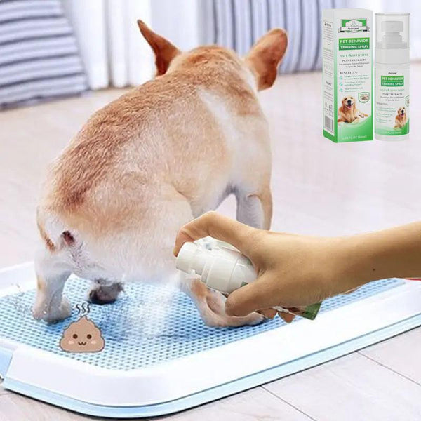 Pet Indoor Outdoor Urinal Training Aid Spray