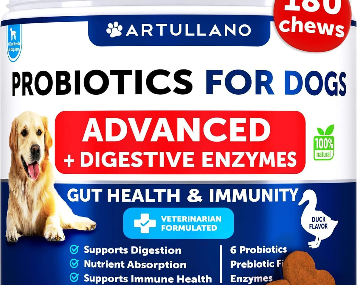 Probiotics for Dogs Support Gut Health Itchy Skin Allergies