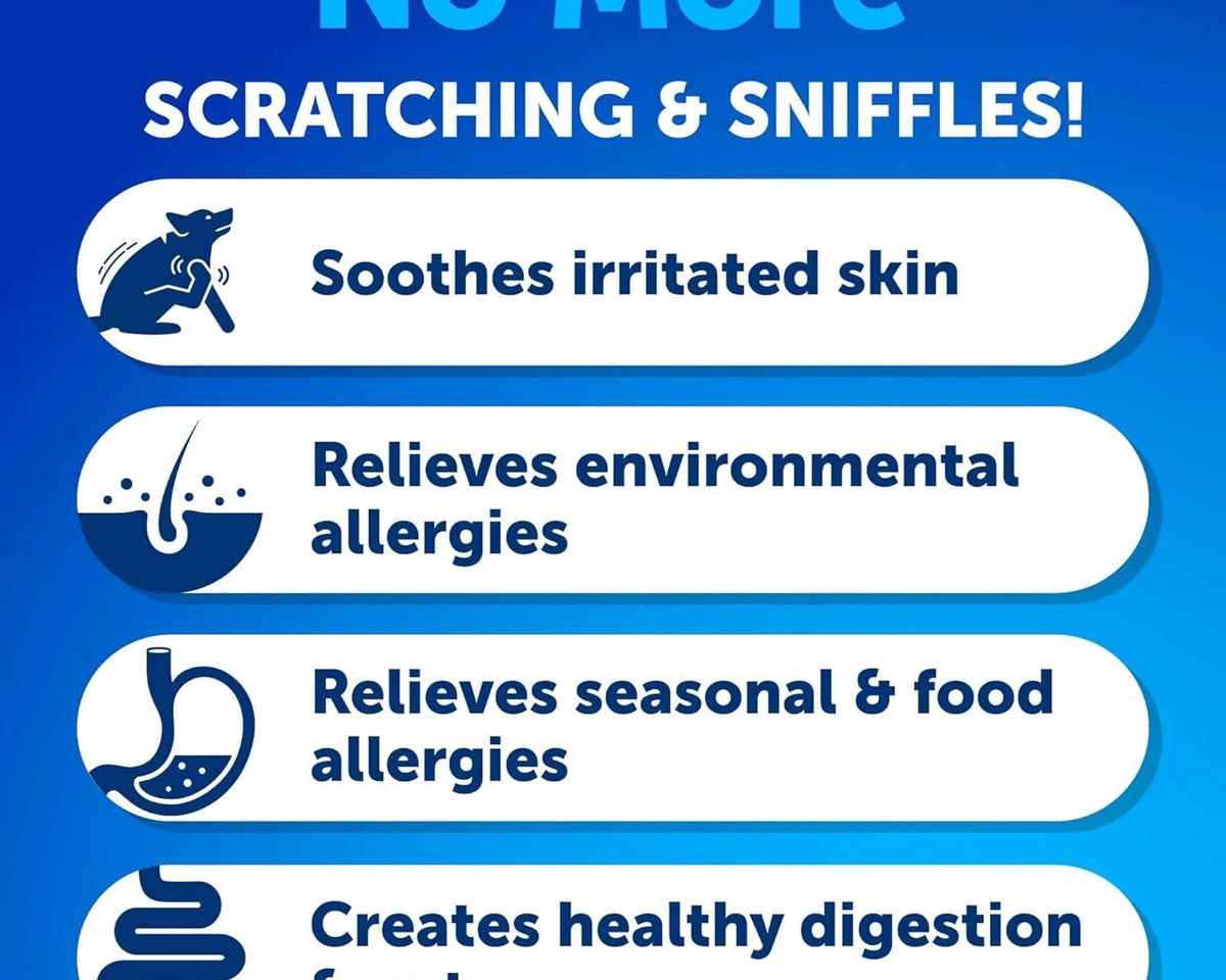 Probiotics for Dogs Support Gut Health Itchy Skin Allergies