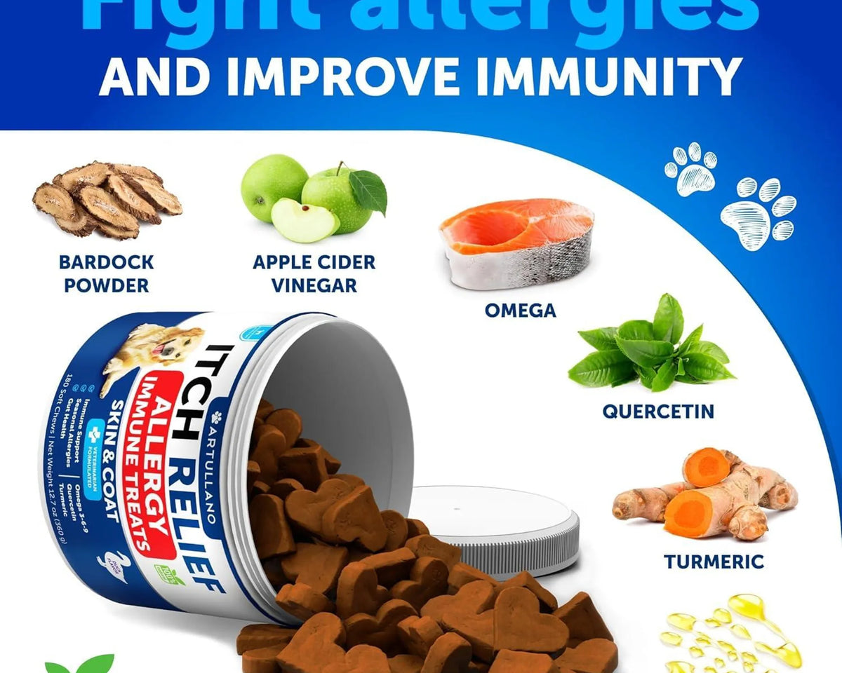 Probiotics for Dogs Support Gut Health Itchy Skin Allergies
