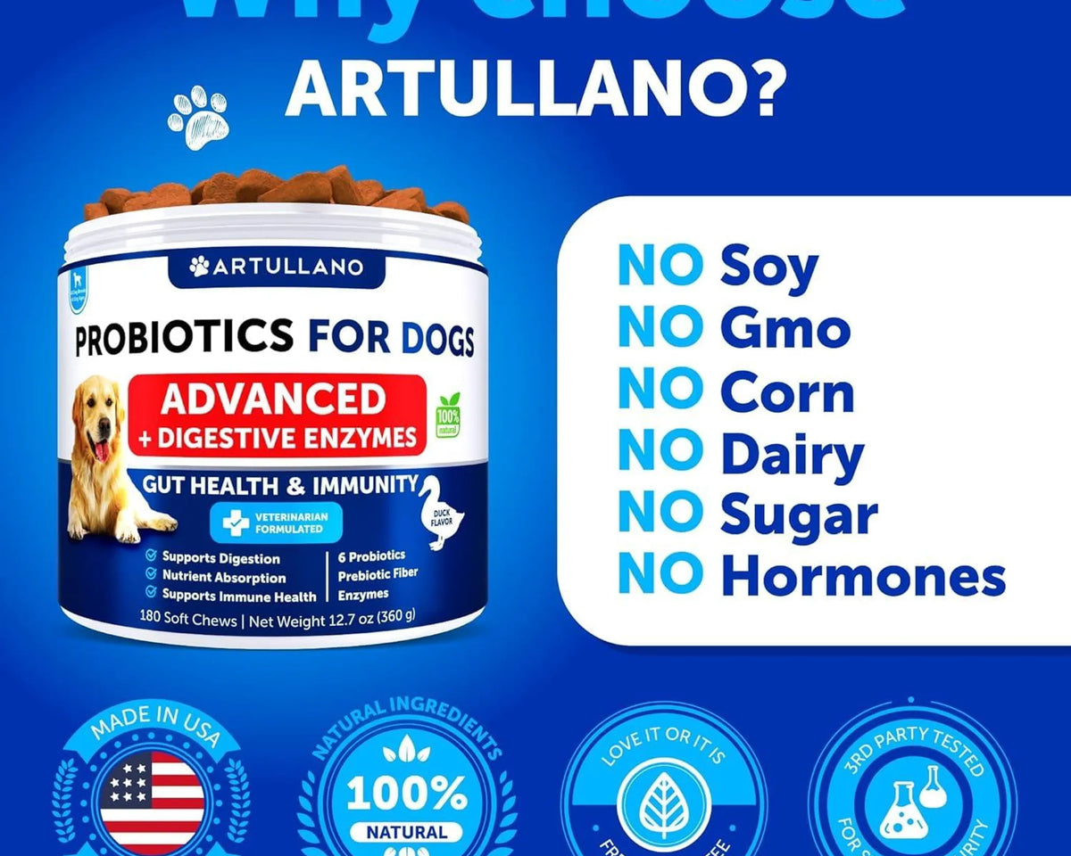 Probiotics for Dogs Support Gut Health Itchy Skin Allergies