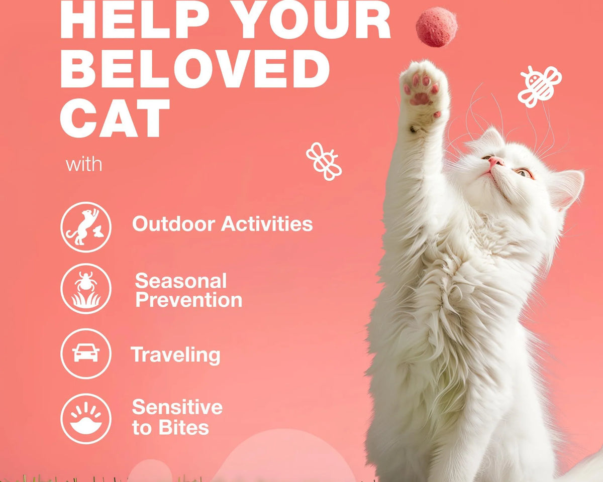 Flea Treatment for Cats