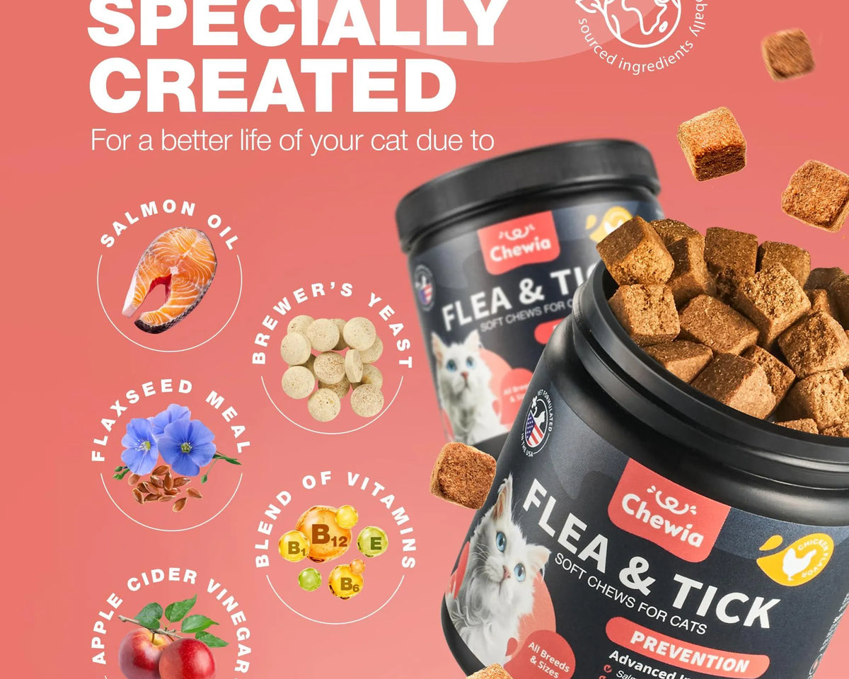 Flea Treatment for Cats