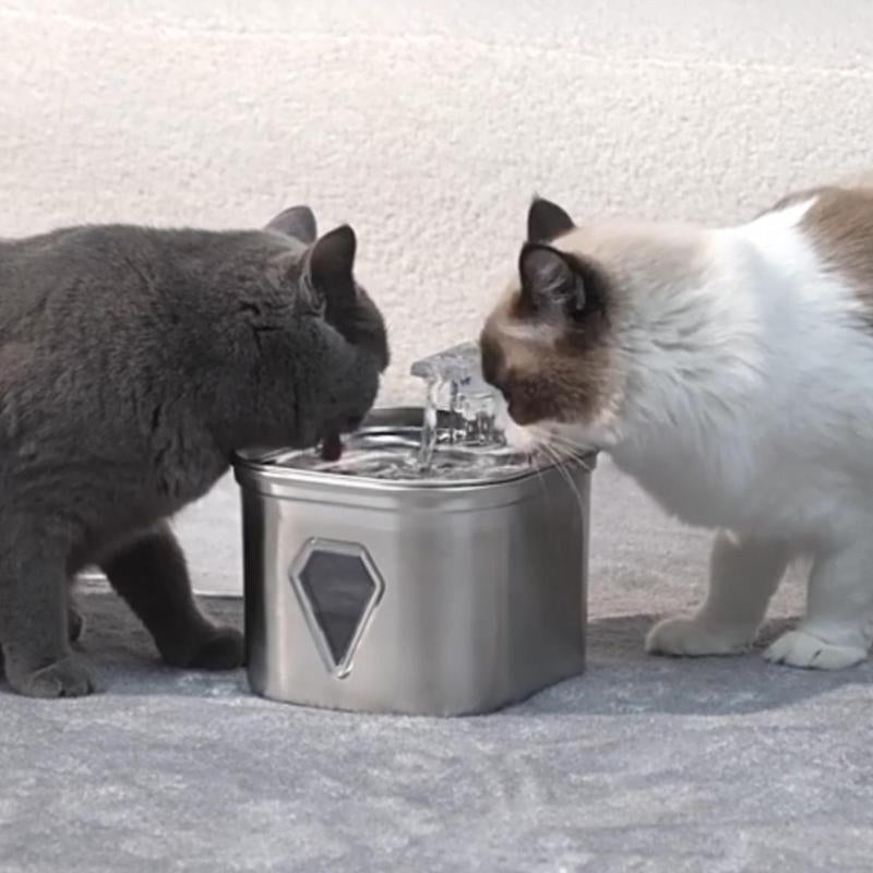 2.5L Stainless Steel Pet Water Dispenser - Large Capacity Pet Drinking Fountain for Dogs and Cats