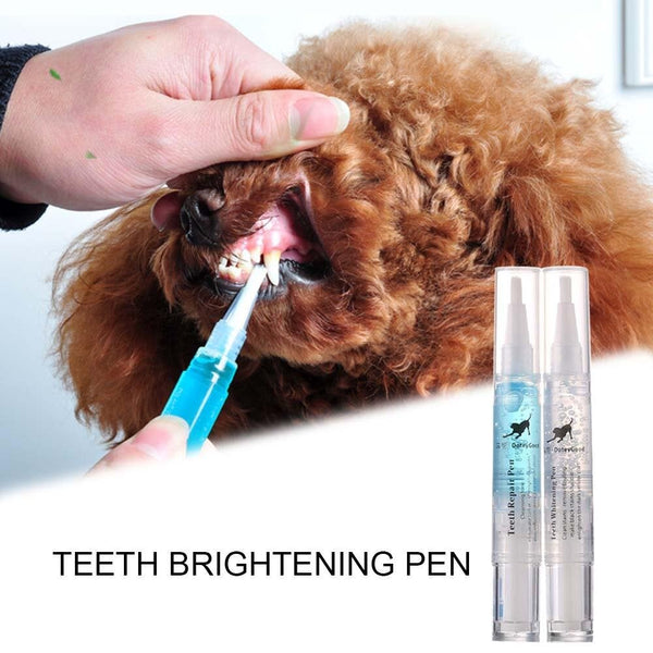 Pet Teeth Cleaning Pen - My Pet Collective Pet Teeth Cleaning Pen