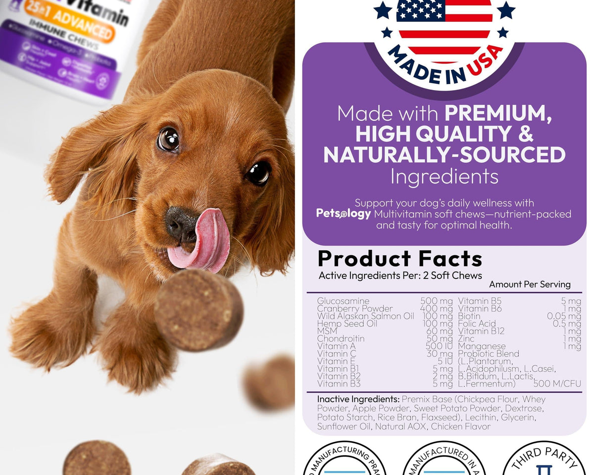 Dog Multivitamin Chewable Vitamins Supplements 