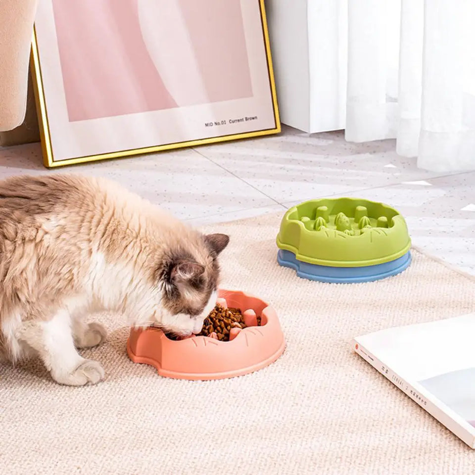 Pet Bowl with Stable Bottom Anti-Overturn