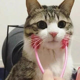 Pet Face Roller Massager - My Pet Collective Pet Face Roller Massager