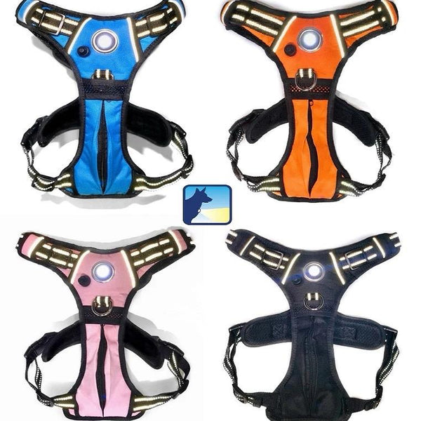 Canine Headlight Harness
