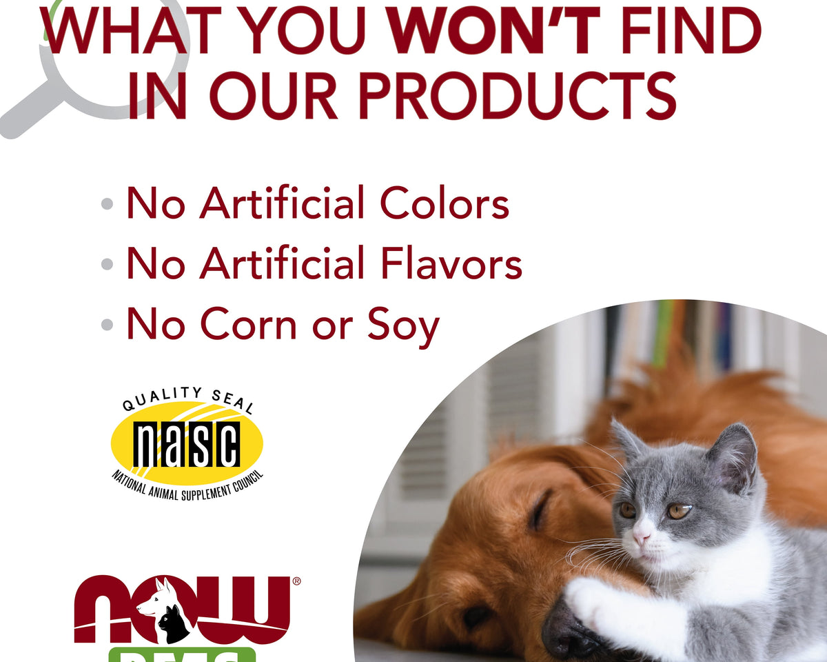 L-Lysine Powder Supplement for Cats - NASC Certified - 8 oz - Supports Pet Health