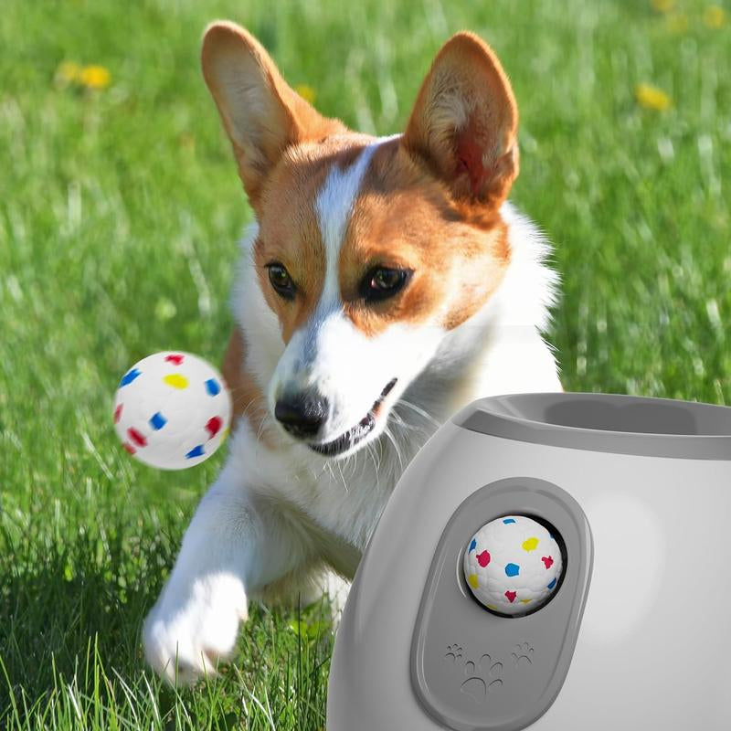 1 Box Interactive Dog Toy with 3 Counts Ball