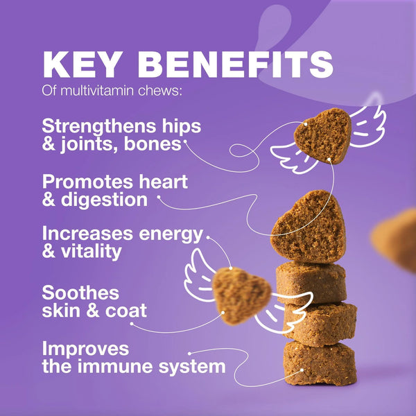 Dog Vitamins 15 in 1 