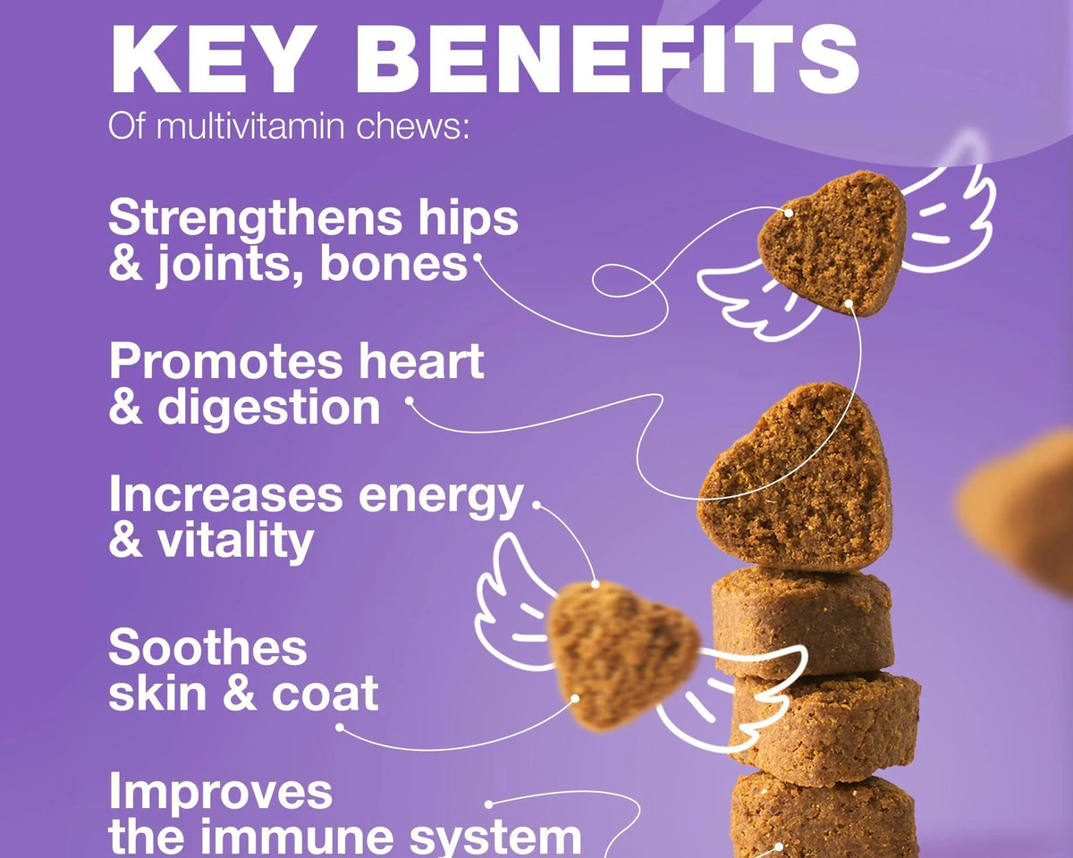 Dog Vitamins 15 in 1 