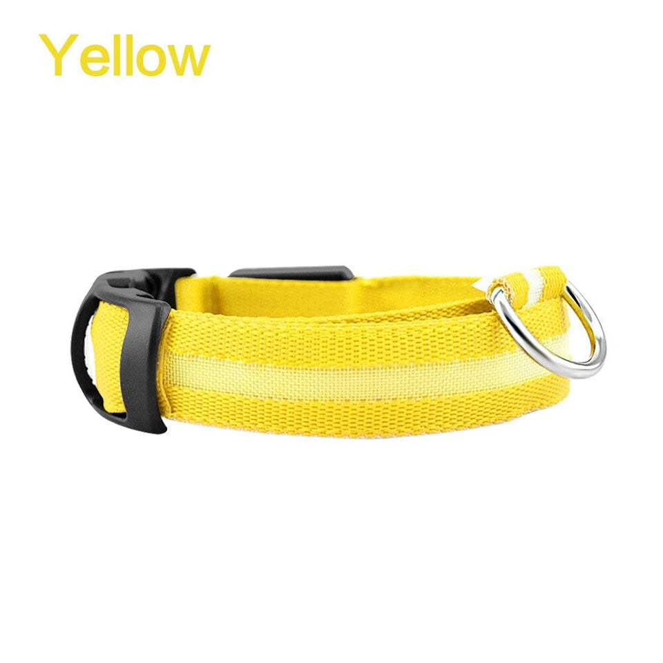 LED Dog Safety Collar – Night Glow - My Pet Collective LED Dog Safety Collar – Night Glow