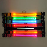 LED Dog Safety Collar – Night Glow - My Pet Collective LED Dog Safety Collar – Night Glow