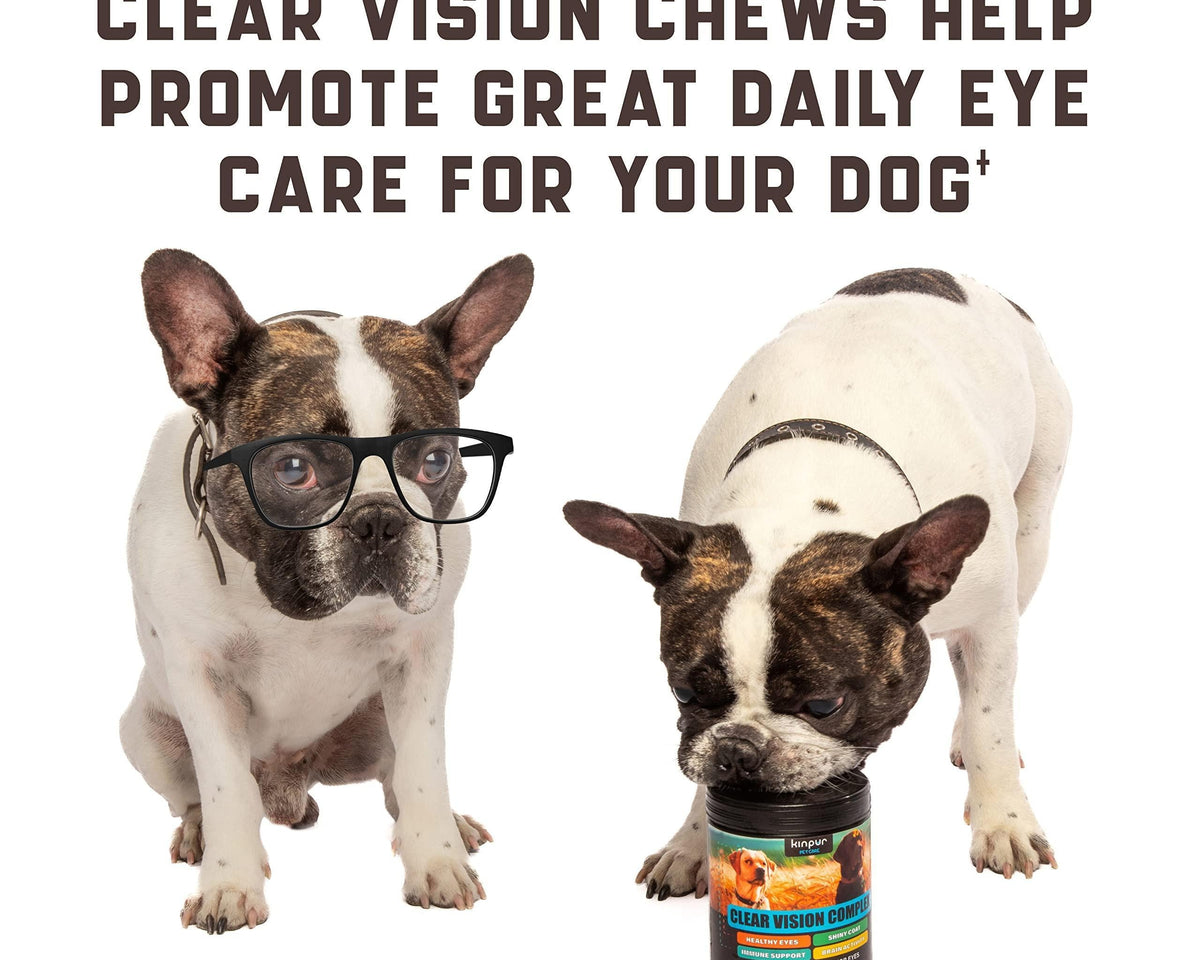 Eye Vitamins for Dogs 