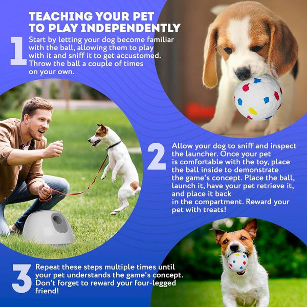 1 Box Interactive Dog Toy with 3 Counts Ball