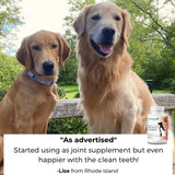 1-TDC Oral Health & Joint Mobility Support for Happy, Active Dogs