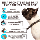Eye Vitamins for Dogs 