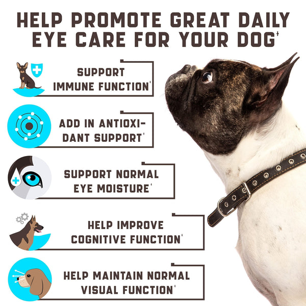 Eye Vitamins for Dogs 