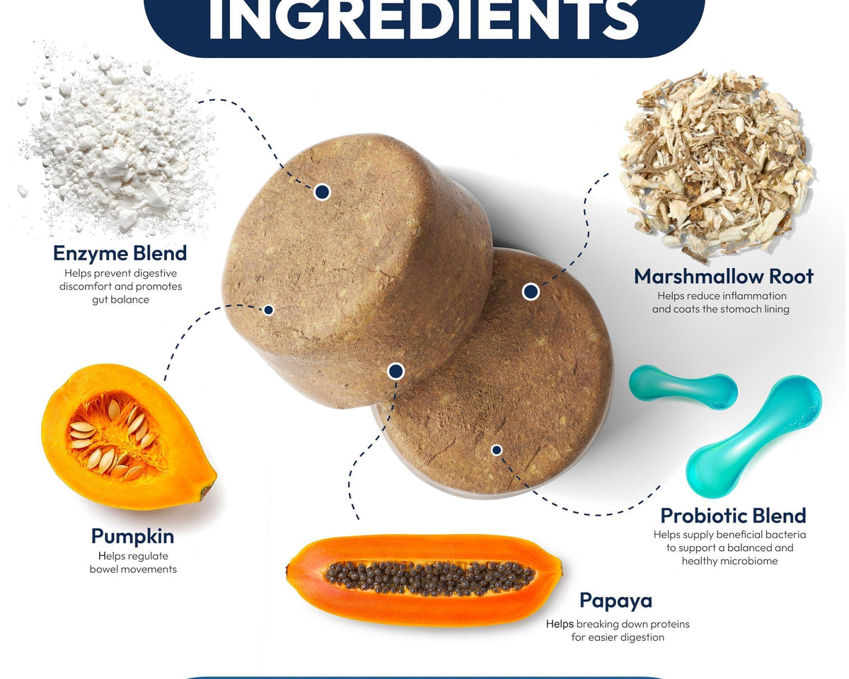 Delicious Probiotic Chews for Dogs - 170 Digestive Enzymes & Prebiotics for Optimal Gut Health!