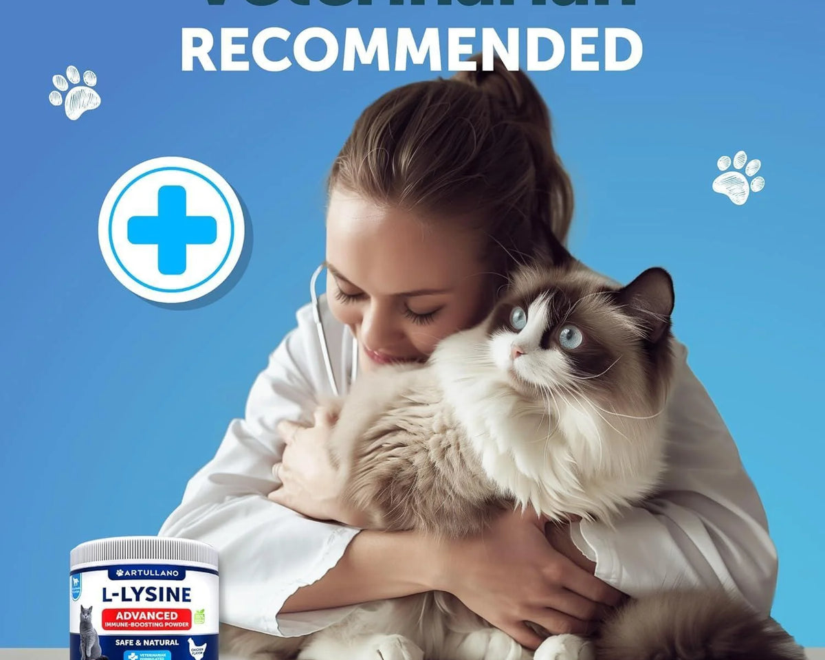 L-Lysine Powder Supplement for Cats - 900mg Immune Support Formula