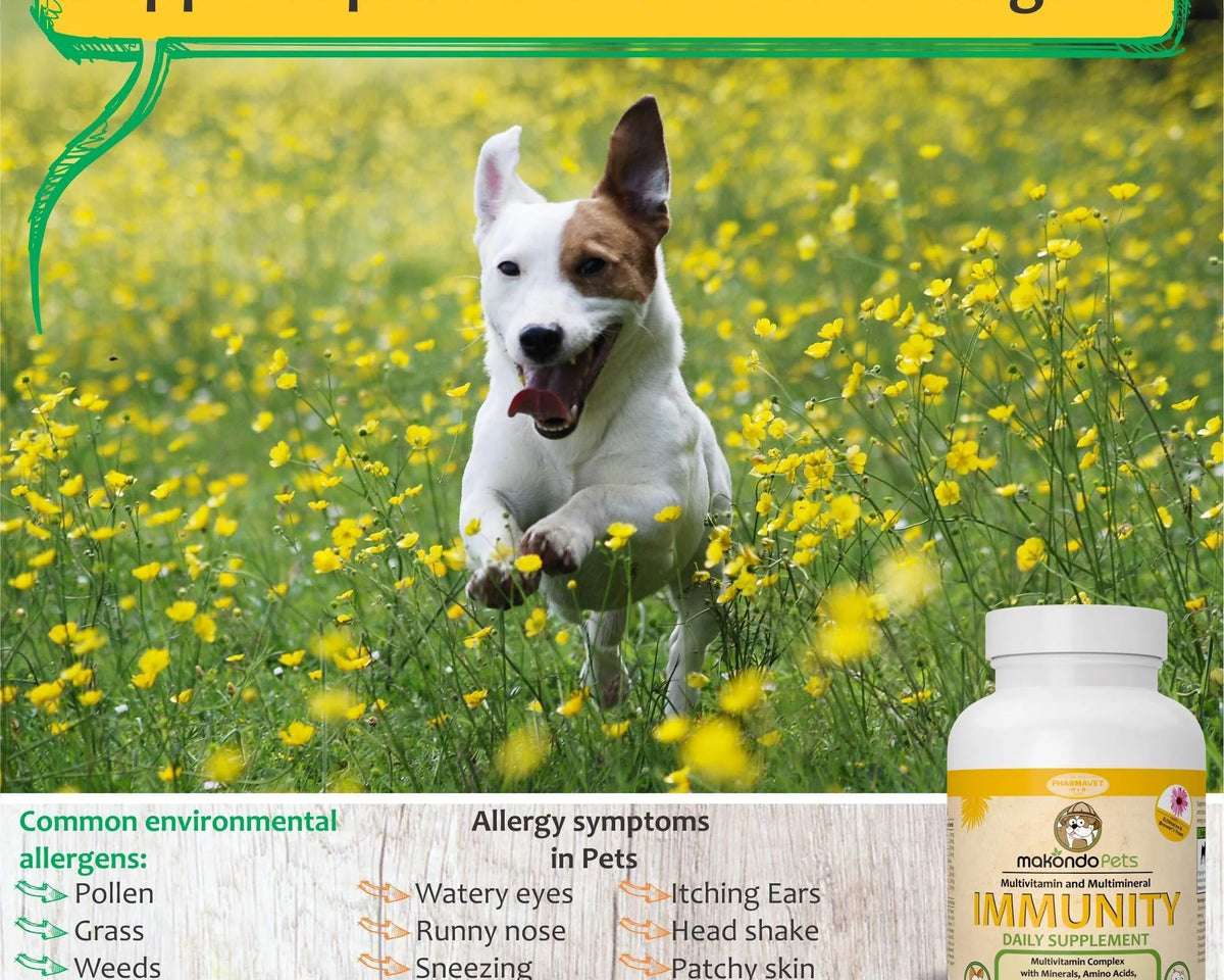 Immune Support Dog Supplement 