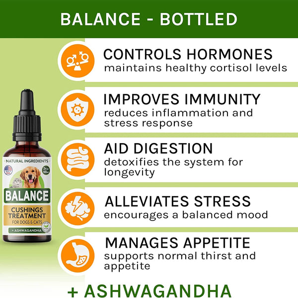 Adrenal Balance for Dogs and Cats - Natural Cushings Treatment with Ashwagandha, Licorice Root & Rhodiola Rosea - 2Oz Harmony Herbal Drops for Optimal Pet Health