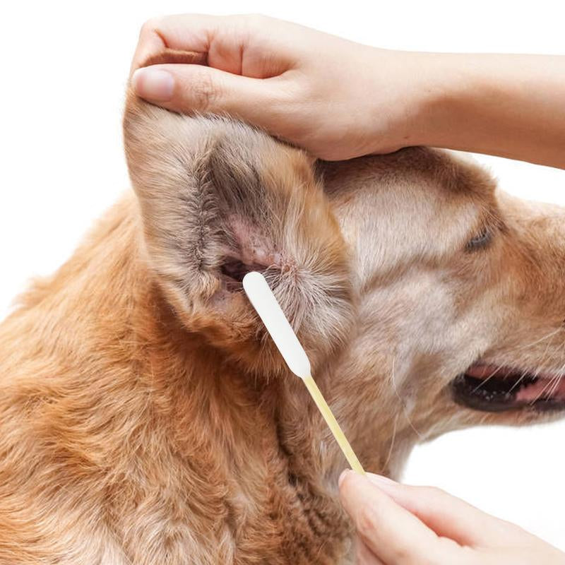  Dog Ear Care Large Cotton Dog Ear 