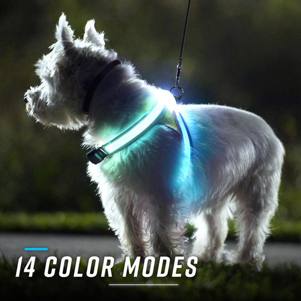 Noxgear Lighthound: Advanced Illuminated and Reflective Dog Harness with Multicolored LED Fiber Optics, USB Rechargeable, Adjustable, Lightweight, and Rainproof Design