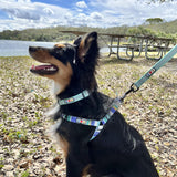 Adjustable Reflective Dog Collar for Dog and Puppies 