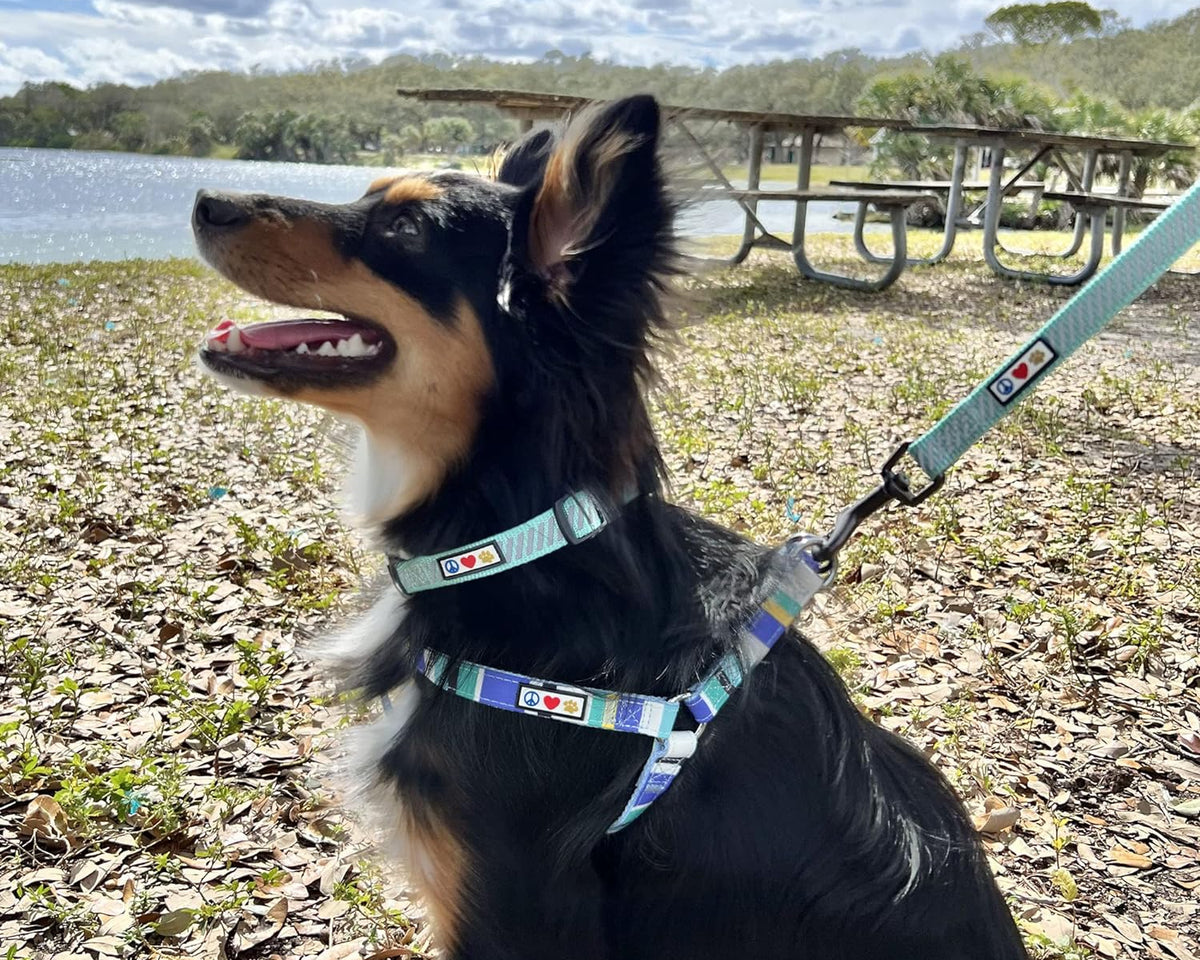 Adjustable Reflective Dog Collar for Dog and Puppies 