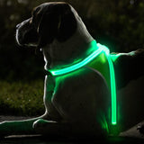 Noxgear Lighthound: Advanced Illuminated and Reflective Dog Harness with Multicolored LED Fiber Optics, USB Rechargeable, Adjustable, Lightweight, and Rainproof Design