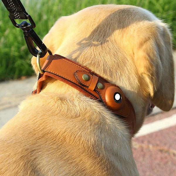 Pet Tracker Waterproof
