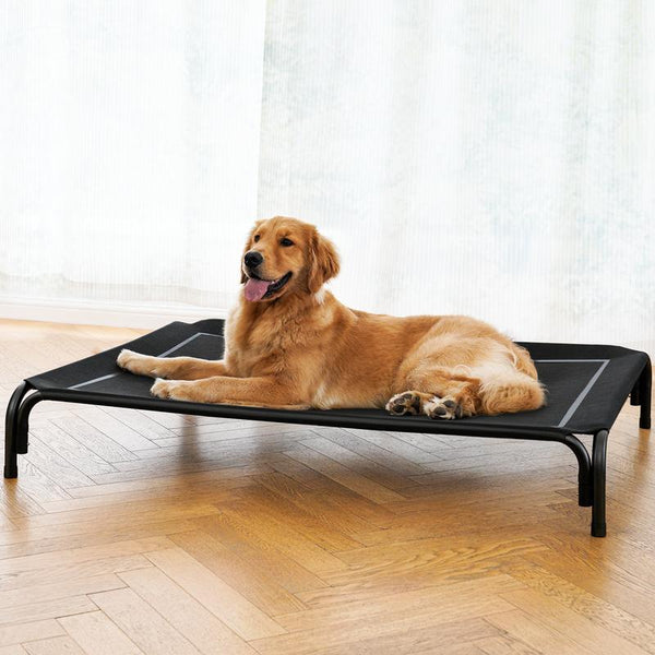 Valuxe Elevated Dog Bed for Large Dogs