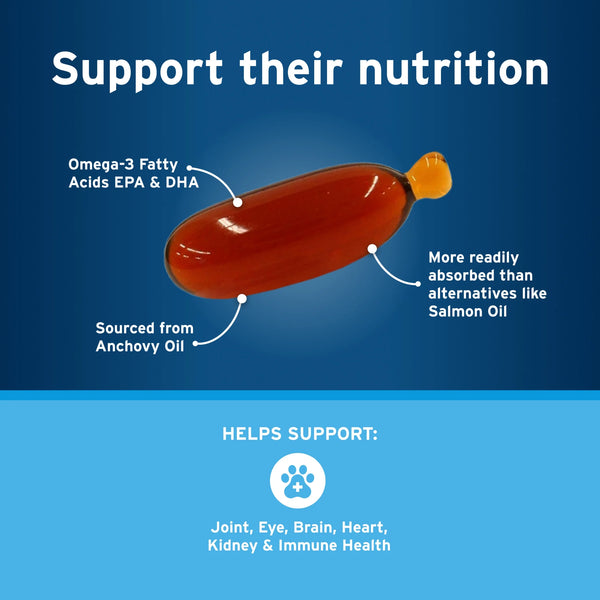 Premium Omega-3 Supplement for Cats & Small Dogs - 60 Easy Snip-Tip Capsules