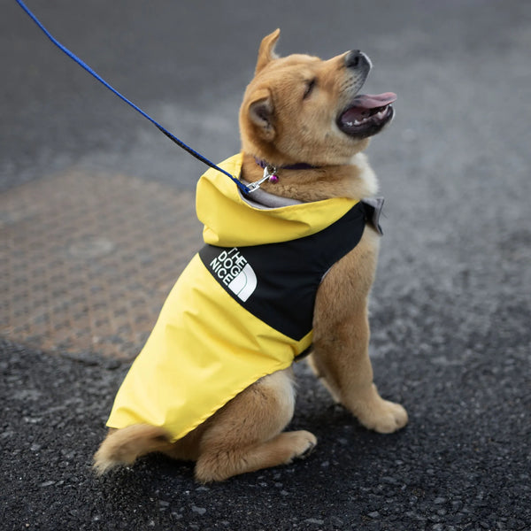 Stylish Waterproof Raincoat Jacket for Dogs - Perfect Spring & Autumn Outerwear for Your Handsome Pup!