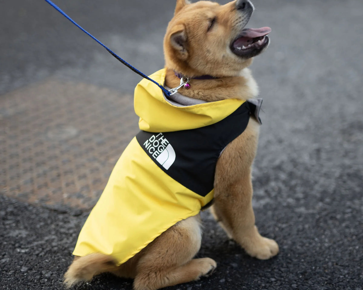 Stylish Waterproof Raincoat Jacket for Dogs - Perfect Spring & Autumn Outerwear for Your Handsome Pup!