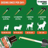 Natural Flea & Tick Prevention for Dogs - Effective Oral Control & Treatment