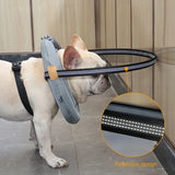 Ultimate Pet Safety Harness for Blind Dogs and Cats - Enhanced Protection for Daily Walks