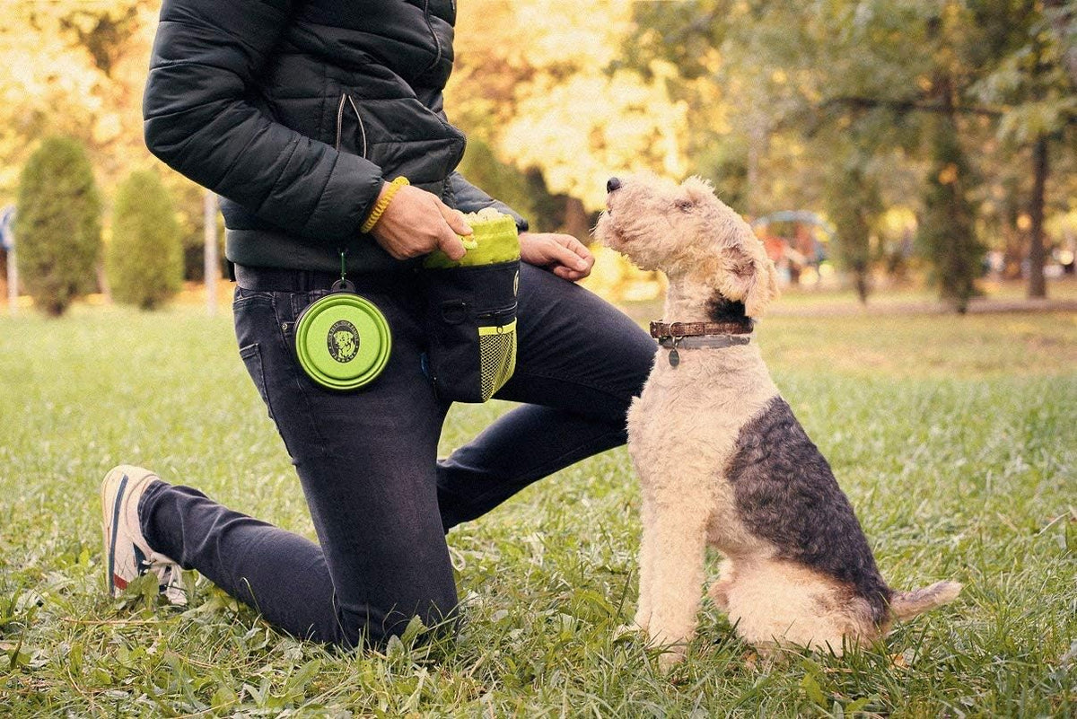 Premium Dog Treat Pouch with Clicker & Collapsible Bowl - Adjustable Reflective Straps for Training Success!