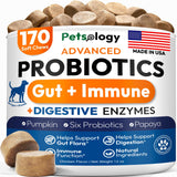 Delicious Probiotic Chews for Dogs - 170 Digestive Enzymes & Prebiotics for Optimal Gut Health!