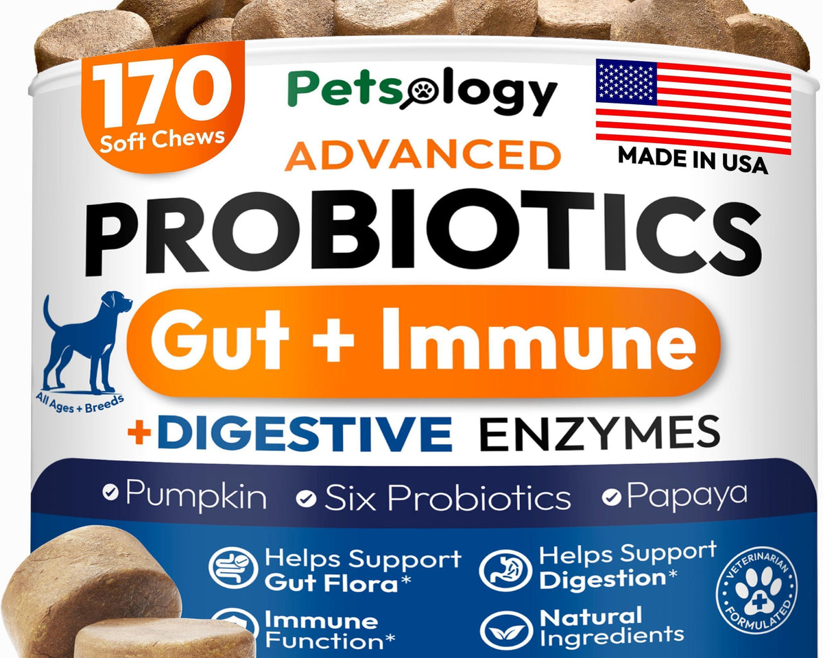 Delicious Probiotic Chews for Dogs - 170 Digestive Enzymes & Prebiotics for Optimal Gut Health!